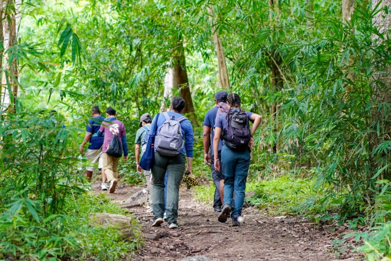 The Importance Of Long-term Volunteers 